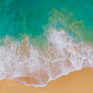 Meet your Posher, Almitra